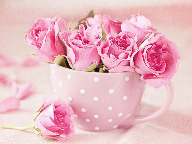 暑中·其二原文注释译文赏析-韩淲诗词-宋诗全集