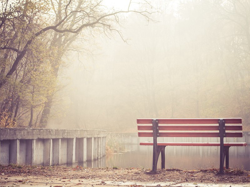 欧伯起相访原文注释译文赏析-范仲淹诗词-宋诗全集