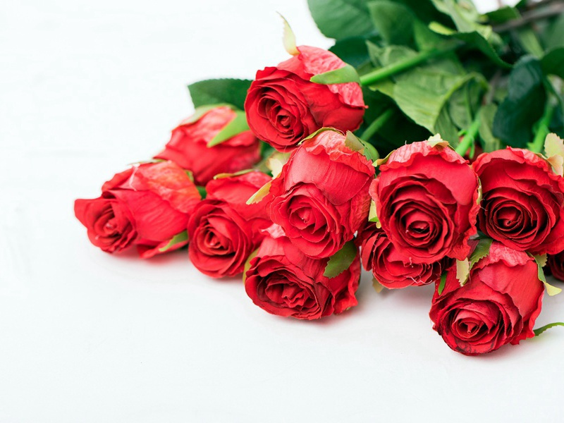 寄彦文原文注释译文赏析-程俱诗词-宋诗全集