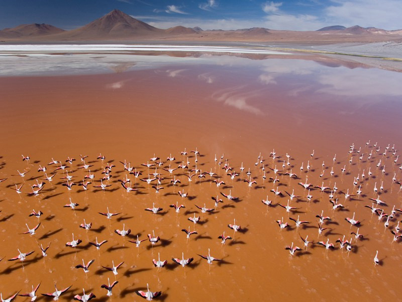 再阻风次衡元度韵原文注释译文赏析-傅察诗词-宋诗全集