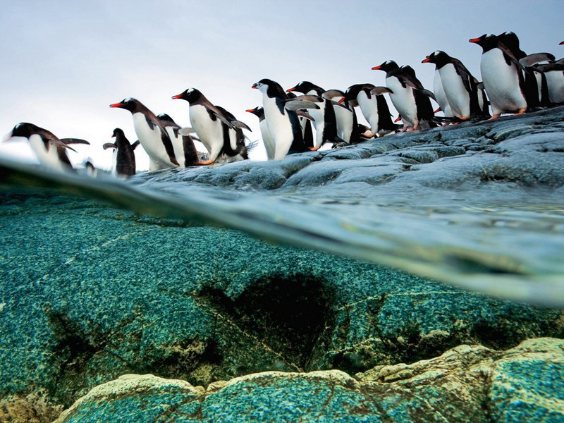 与同舍诸公饮王诜都尉家有侍儿辈侍香求诗求字者以烟浓近侍香为韵原文注释译文赏析-曾诚诗词-宋诗全集