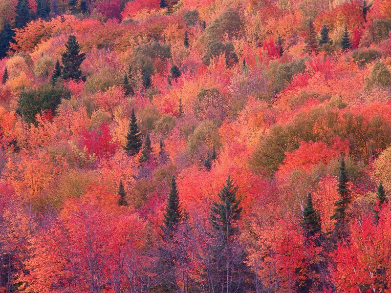 游大涤原文注释译文赏析-曹诚明诗词-宋诗全集