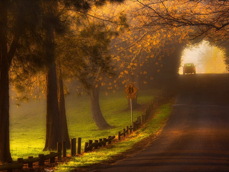 和孙伟卿杂言十章·其八原文注释译文赏析-陈傅良诗词-宋诗全集