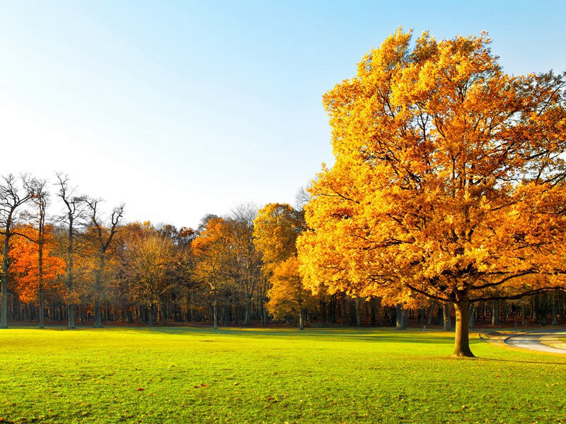 喜雨用山谷韵呈薛使君原文注释译文赏析-程洵诗词-宋诗全集