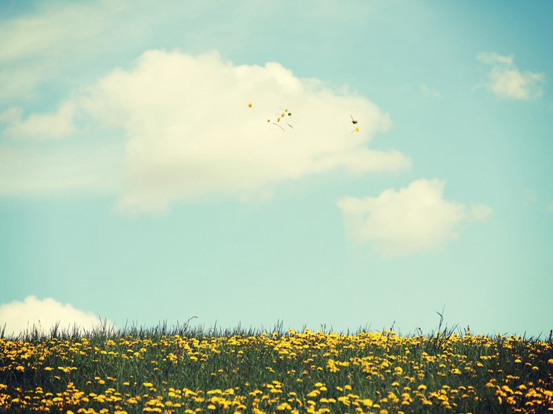 春夜感怀寄席大光原文注释译文赏析-陈与义诗词-宋诗全集