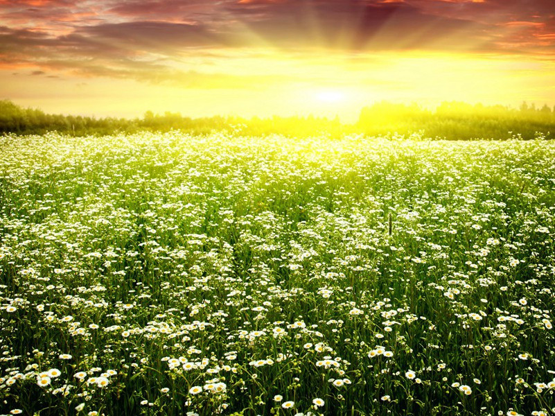 赠段万顷原文注释译文赏析-晁补之诗词-宋诗全集