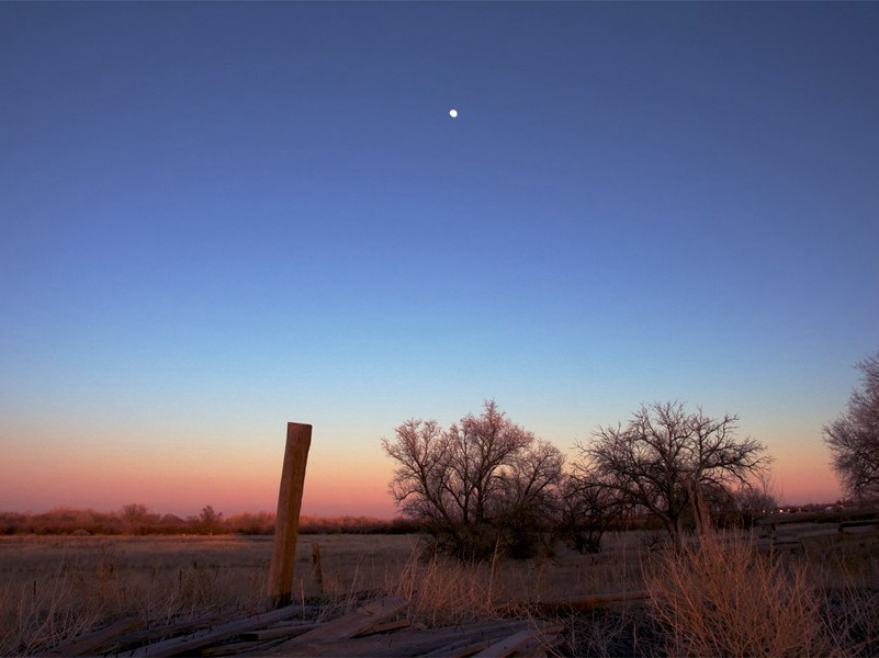 端约遗墨梅以诗谢之·其二原文注释译文赏析-蔡戡诗词-宋诗全集