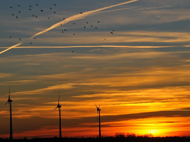 过邢惇夫墓下作原文注释译文赏析-蔡肇诗词-宋诗全集