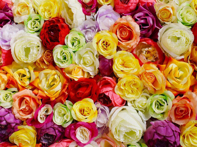 咏史·王昭君·其二原文注释译文赏析-陈普诗词-宋诗全集