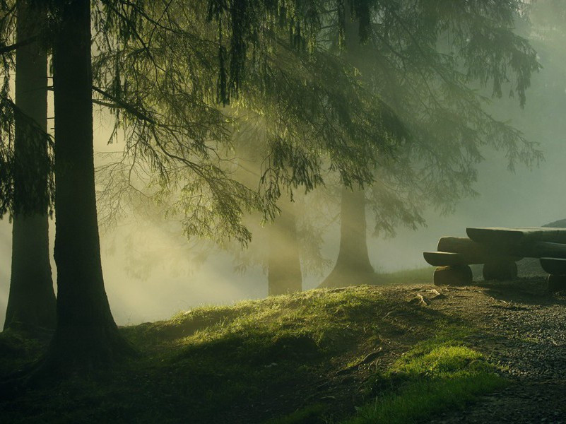 句原文注释译文赏析-黄叔达诗词-宋诗全集