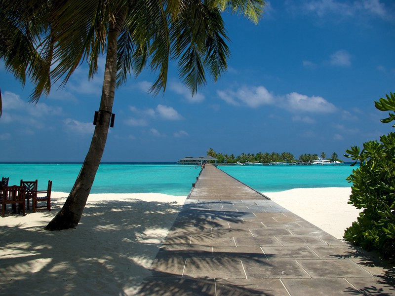 题滴水岩原文注释译文赏析-常传正诗词-宋诗全集