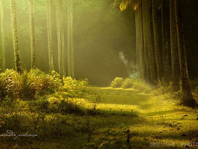 江行野宿寄大光原文注释译文赏析-陈与义诗词-宋诗全集