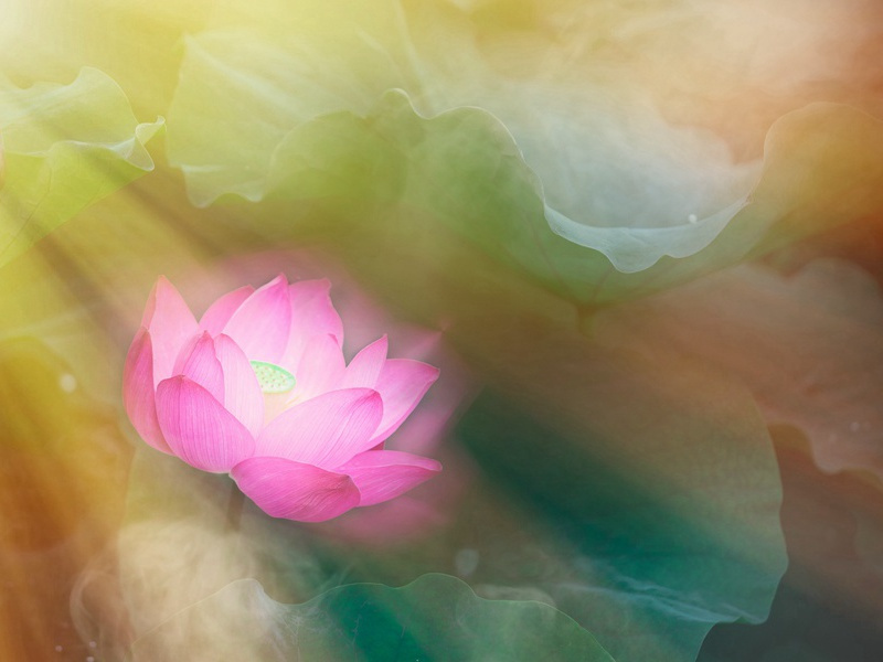 新正·其二原文注释译文赏析-白玉蟾诗词-宋诗全集