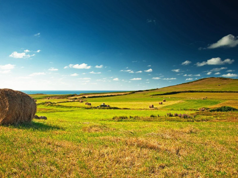 廿一兄以手和四清香见饷用心清闻妙香为韵成五小诗·其二原文注释译文赏析-曾几诗词-宋诗全集
