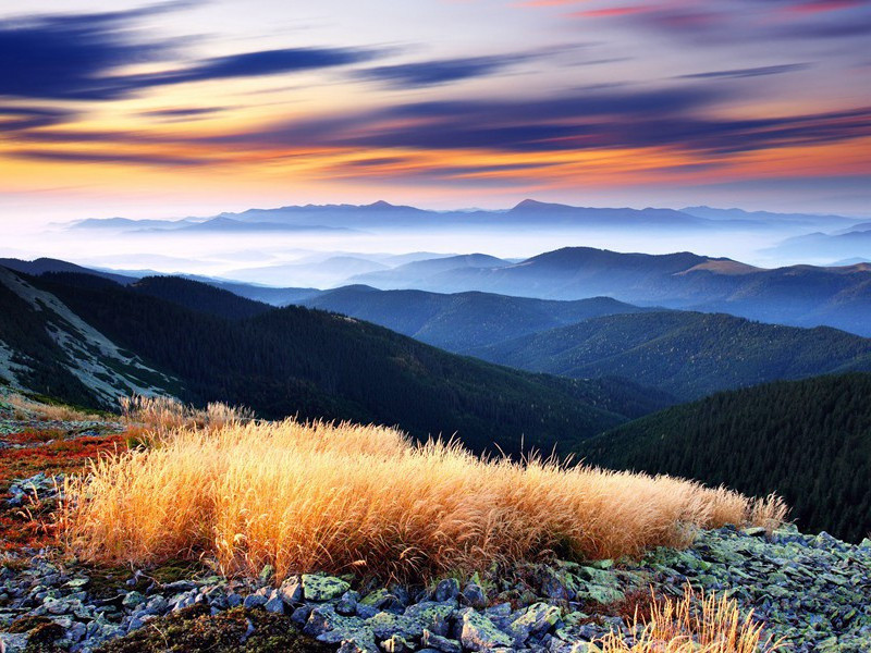 冬雪呈太守张嵇仲·其三原文注释译文赏析-李弥逊诗词-宋诗全集