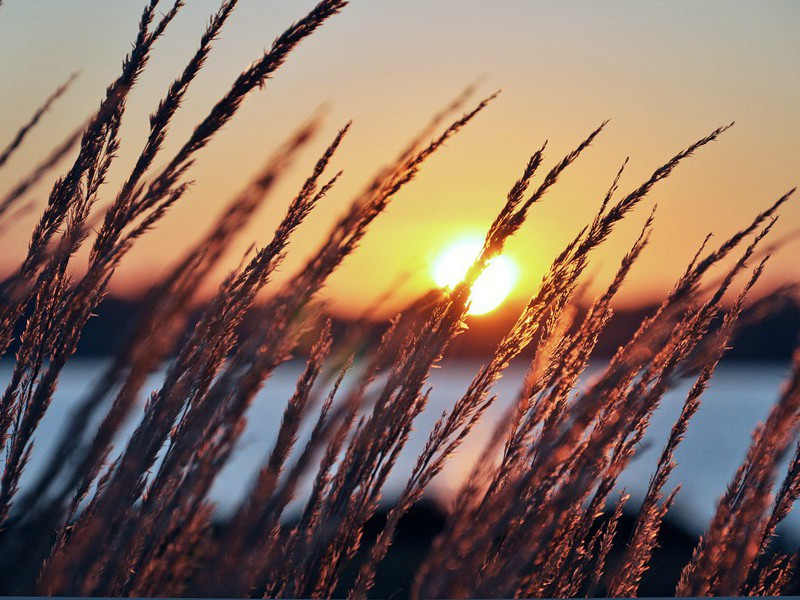 次韵宋倅所和·其三原文注释译文赏析-韩淲诗词-宋诗全集