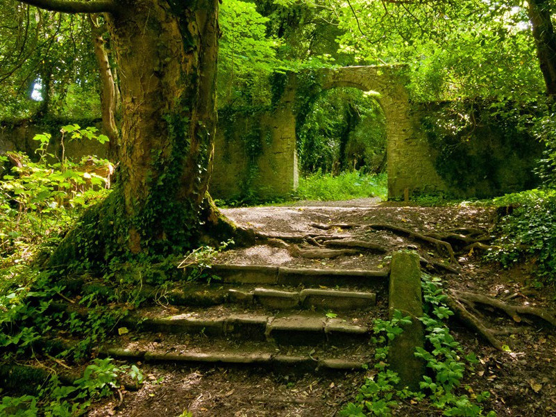 西庵原文注释译文赏析-郭祥正诗词-宋诗全集