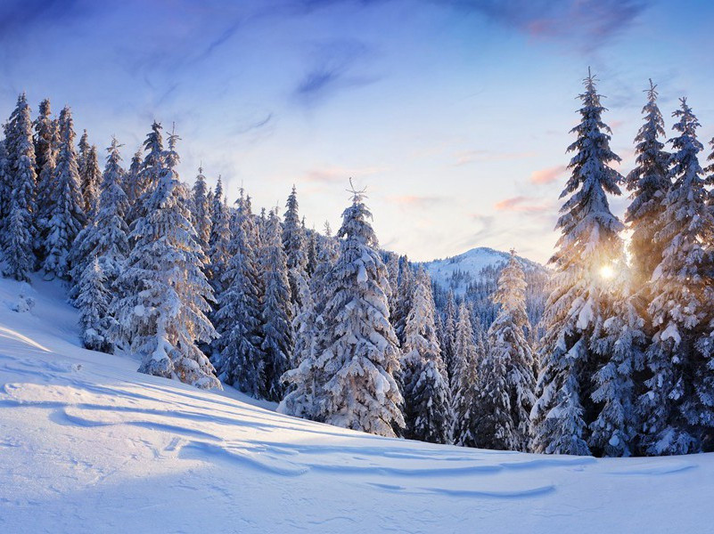 上杜相三首·其一原文注释译文赏析-曾巩诗词-宋诗全集