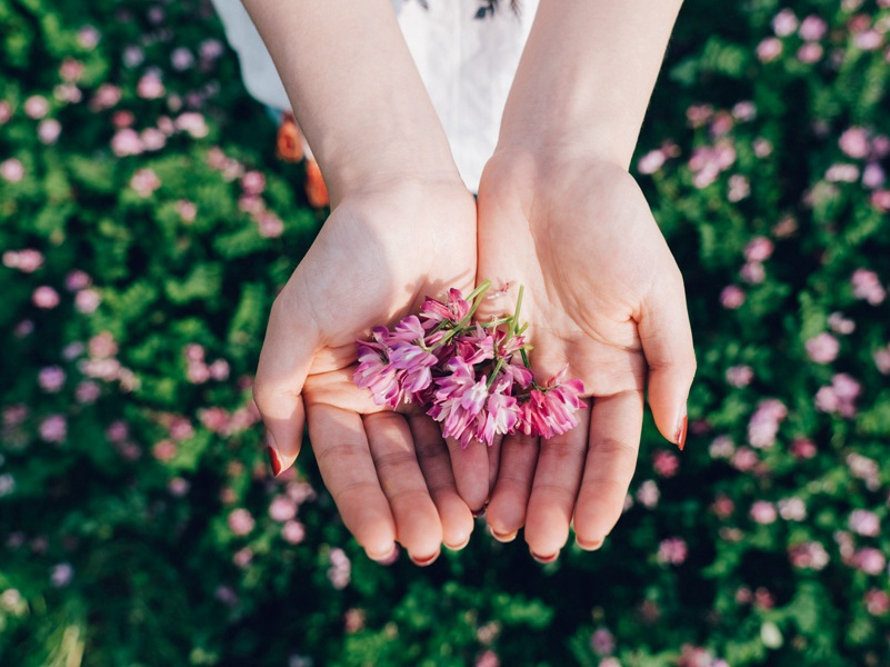 天台桐柏观李高士惠诗兼寄其游山纪咏一编且复见招予不能赴约敬次来韵以谢原文注释译文赏析-陈起诗词-宋诗全集