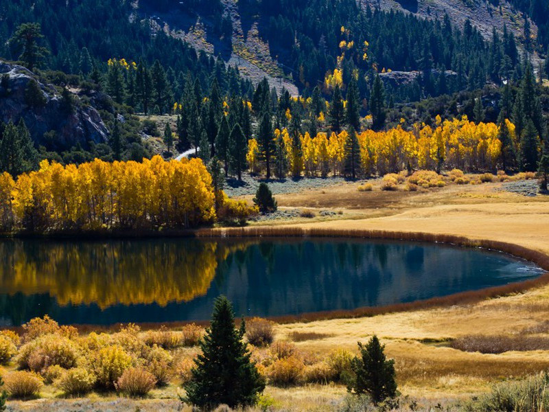 谢陈正字送荔支三首·其一原文注释译文赏析-黄庭坚诗词-宋诗全集