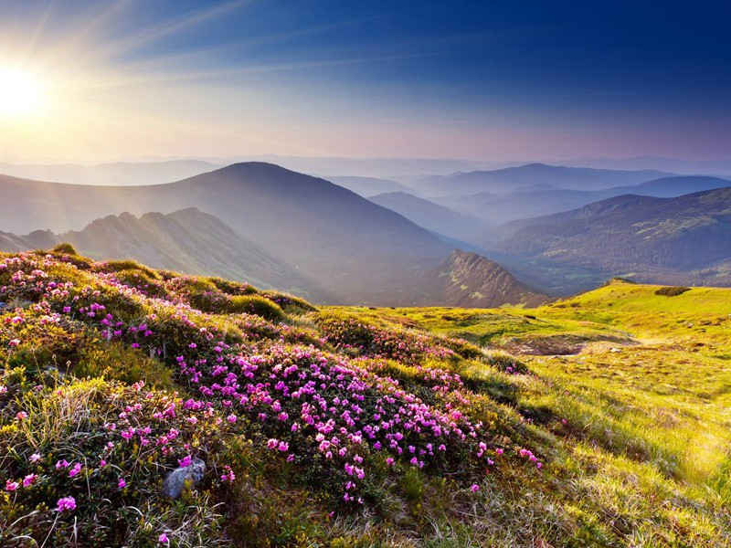 送庞佑甫五首·其二原文注释译文赏析-韩元吉诗词-宋诗全集