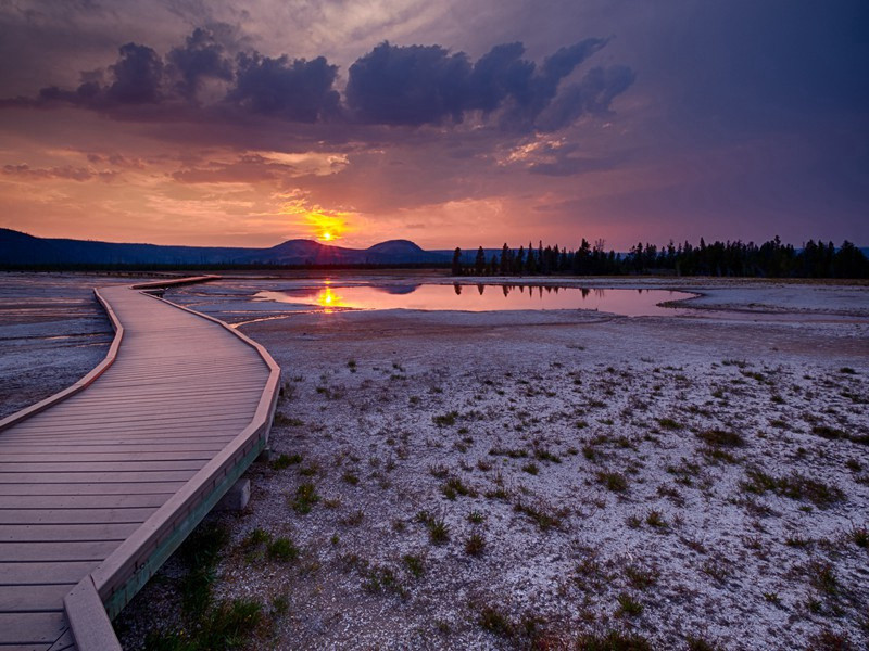 课花木原文注释译文赏析-曹彦约诗词-宋诗全集
