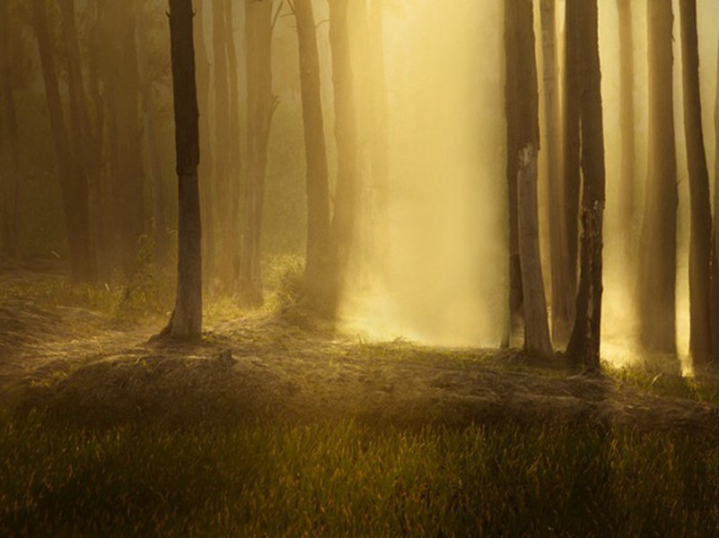 挽前眉州使君廖子长二首·其二原文注释译文赏析-程公许诗词-宋诗全集