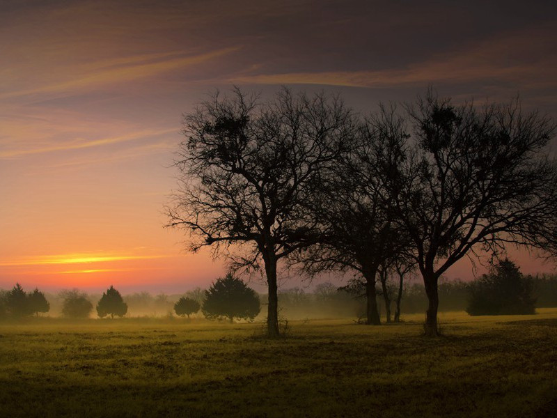 次韵徐秀才十首·其四原文注释译文赏析-陈造诗词-宋诗全集