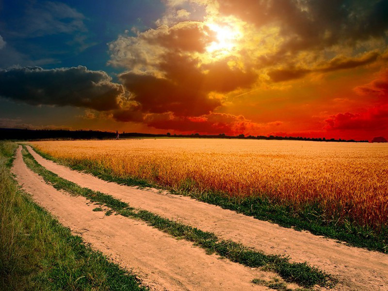 阅古堂八咏·沟泉原文注释译文赏析-韩琦诗词-宋诗全集