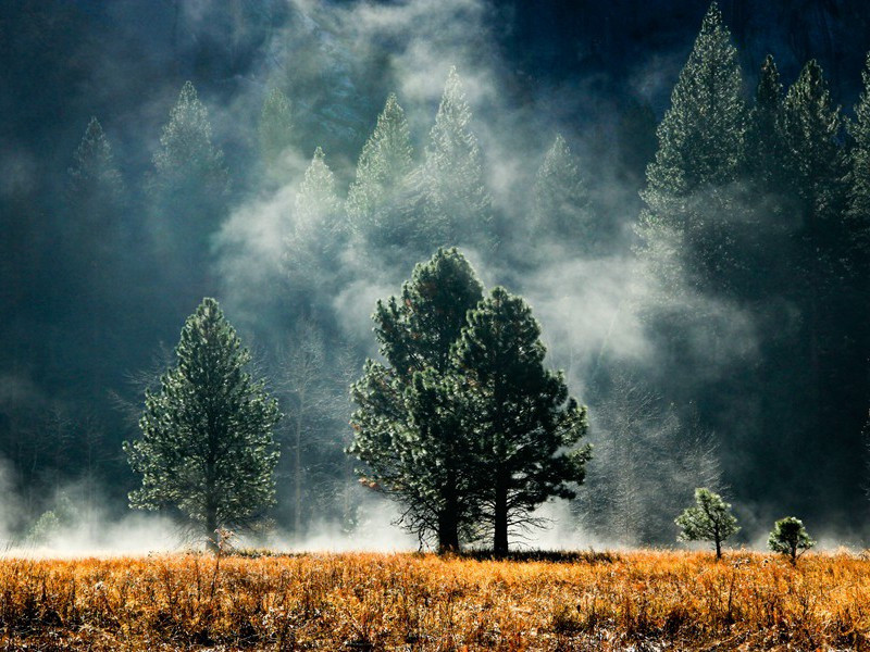 谒陶隠居祠呈郎中张声华原文注释译文赏析-陈庚生诗词-宋诗全集