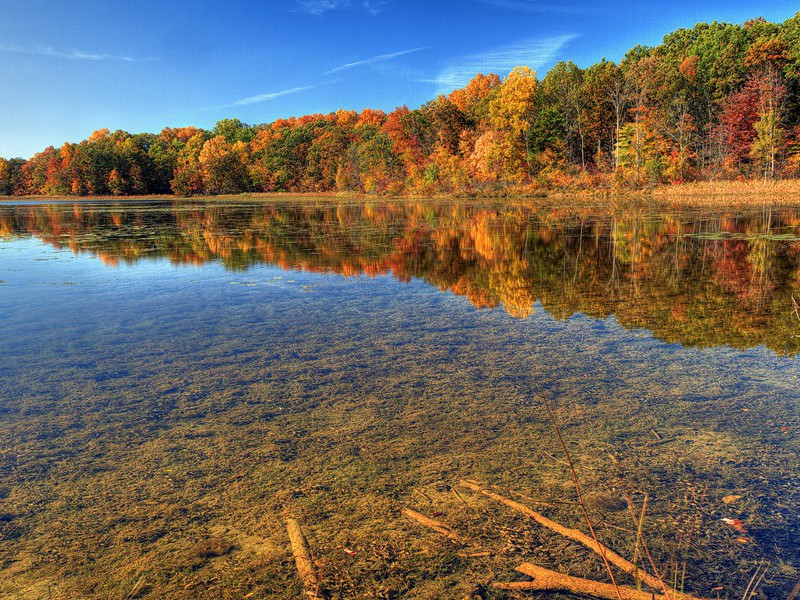 花山村舍原文注释译文赏析-范成大诗词-宋诗全集
