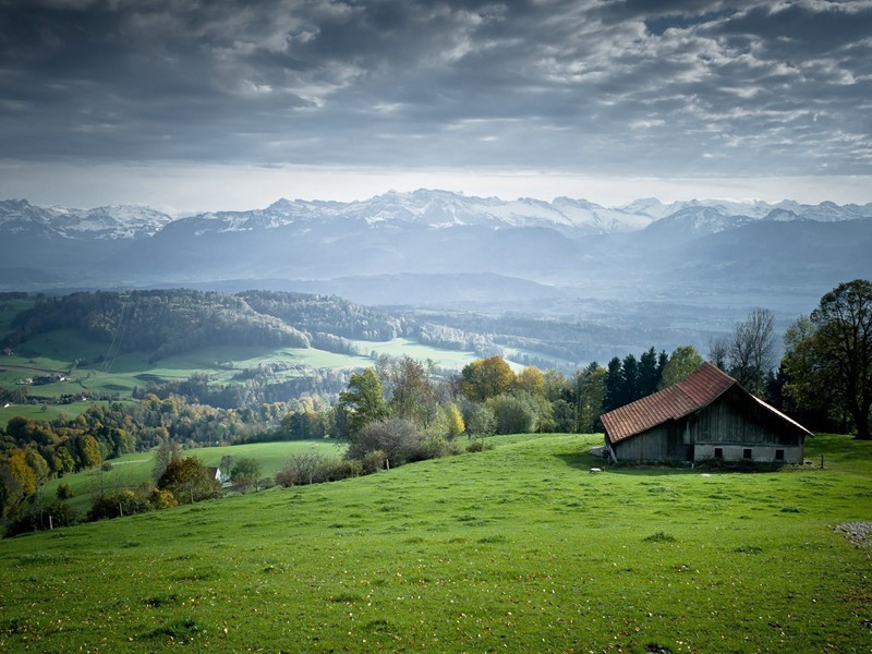 病中喜雪原文注释译文赏析-韩琦诗词-宋诗全集