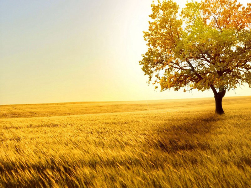 归途次韵·其五原文注释译文赏析-黄彦平诗词-宋诗全集