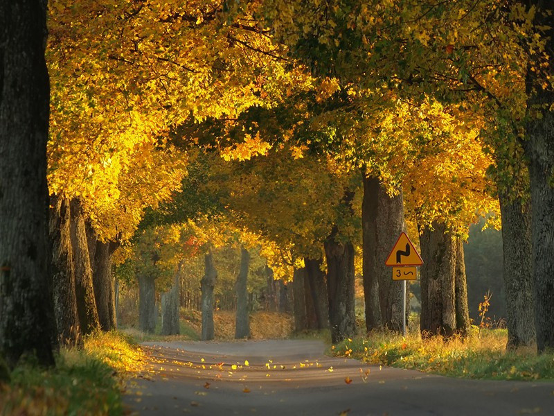 山居杂诗九十首·其七二原文注释译文赏析-曹勋诗词-宋诗全集