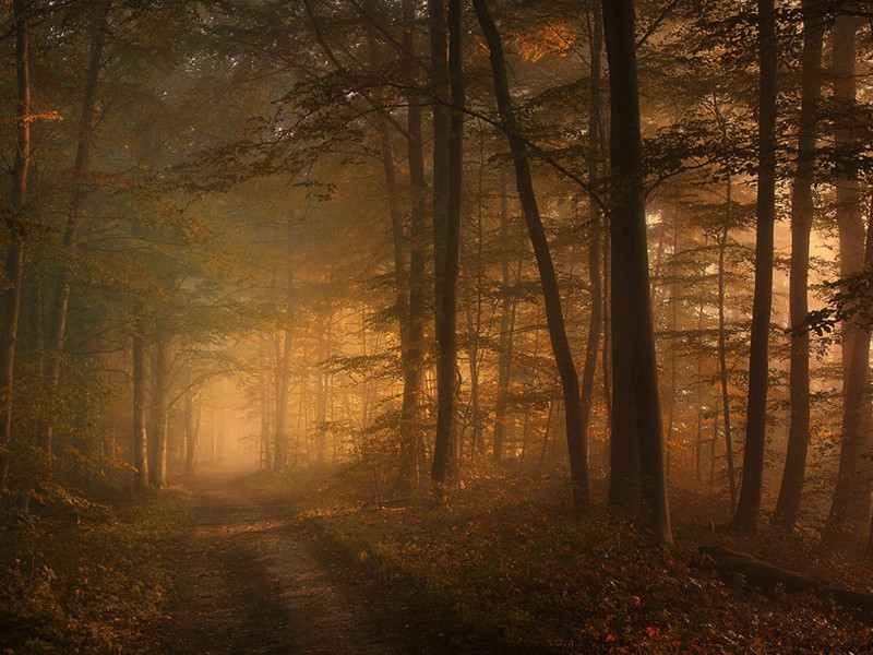 锦城方天瑞玄英先生后人得白云山居图彷佛桐庐山中隠所钱舜举真蹟别有一种风致漫系以诗原文注释译文赏析-仇远诗词-宋诗全集