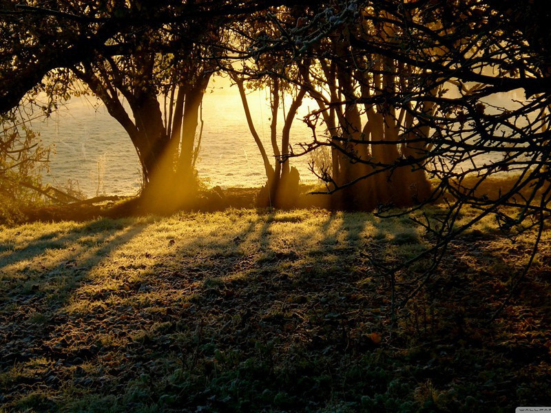 游梅坡席上杂酬·其四原文注释译文赏析-李弥逊诗词-宋诗全集