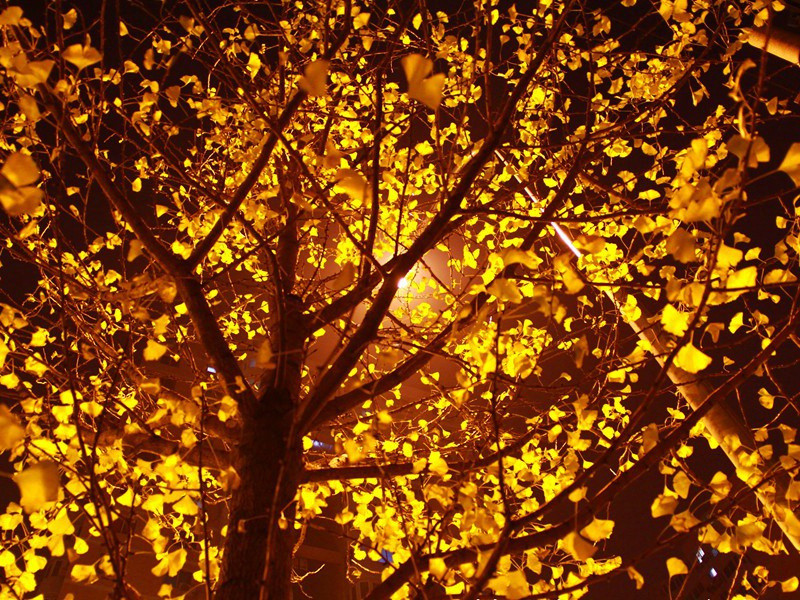 句原文注释译文赏析-包恢诗词-宋诗全集