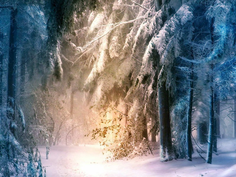 游西湖原文注释译文赏析-陈着诗词-宋诗全集