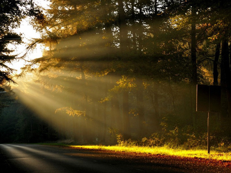 唐李涉有山中五无可奈何诗戏用其体作秋日四章·其一原文注释译文赏析-戴昺诗词-宋诗全集