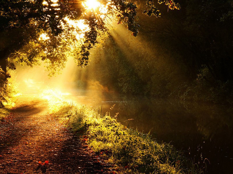 雪中领客湖庄原文注释译文赏析-曹彦约诗词-宋诗全集