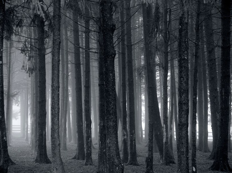 予甲戌岁与惠州麦少韩始相会於都下后十九年复会焉今又六年而少韩见予益勤将东归为诗四章以别·其三原文注释译文赏析-程洵诗词-宋诗全集