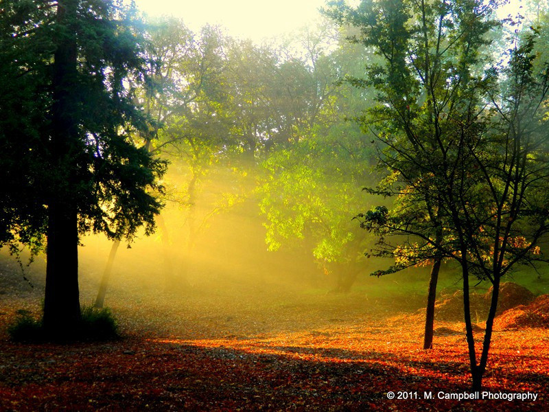 屈原石板上见圆机题诗因和之原文注释译文赏析-晁说之诗词-宋诗全集