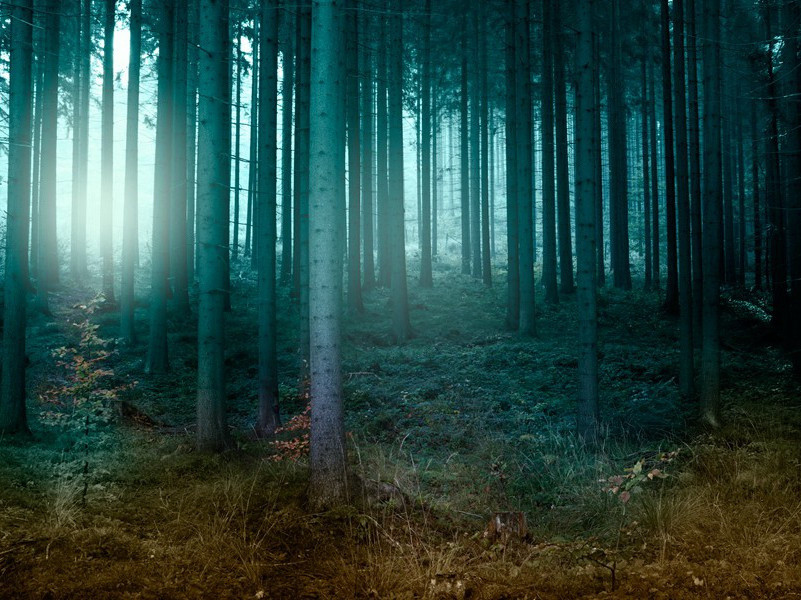 与虞章舜卿二表弟季明游兼胜亭有作三律·其一原文注释译文赏析-陈东诗词-宋诗全集