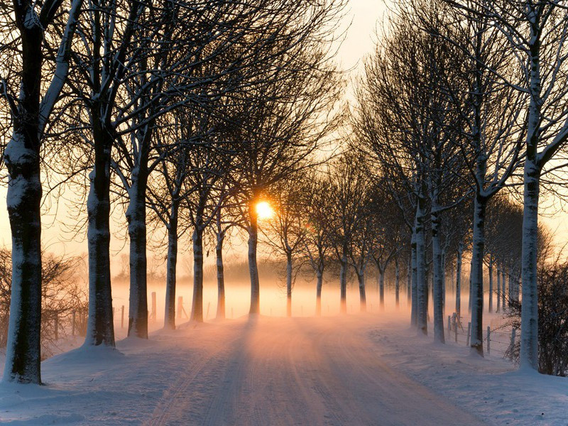 过房公湖临发广文载酒登南楼听隠士陈希逸弹琴读鴈湖先生诗及悦斋先生赋原文注释译文赏析-程公许诗词-宋诗全集