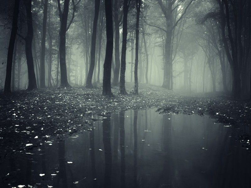 送宇文尚书归蜀之官遂宁原文注释译文赏析-姜特立诗词-宋诗全集