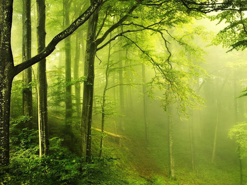 读方处士墓志挽诗题其后阎集贤承旨文赵翰直书傅学士序原文注释译文赏析-方回诗词-宋诗全集