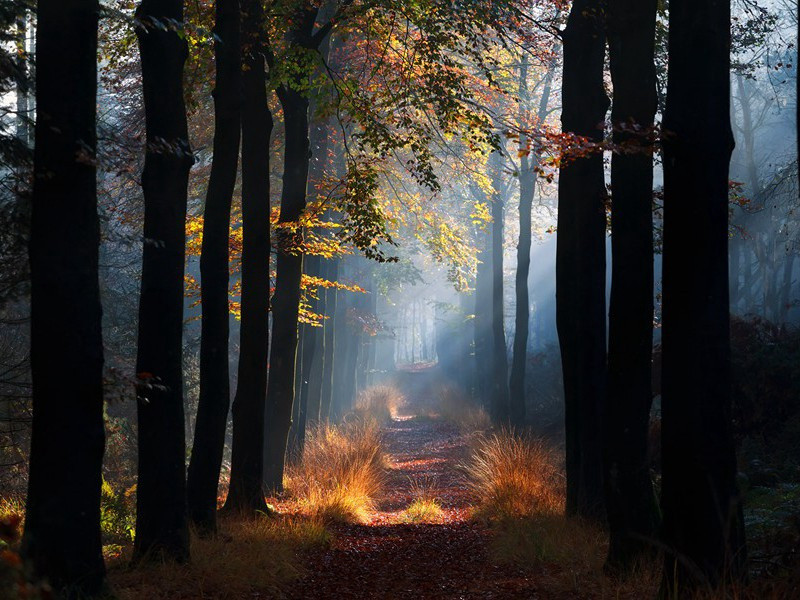 旅穷中报生孙名曰守原文注释译文赏析-方回诗词-宋诗全集