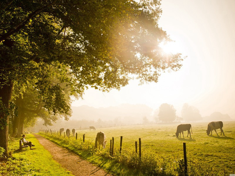 杂咏下·沃桑陌原文注释译文赏析-洪适诗词-宋诗全集
