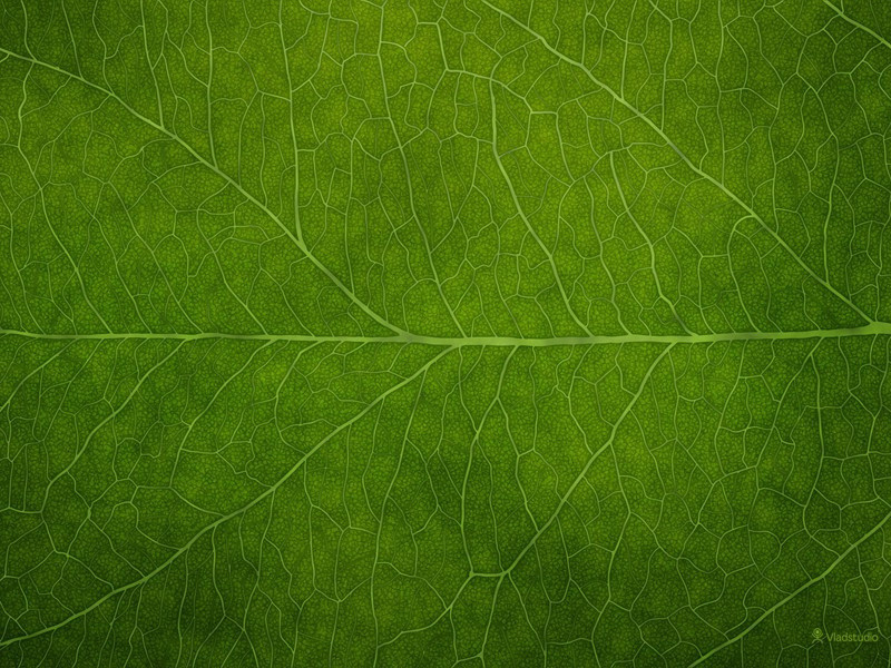 四时田园杂兴六十首·春日田园杂兴十二绝·其一原文注释译文赏析-范成大诗词-宋诗全集