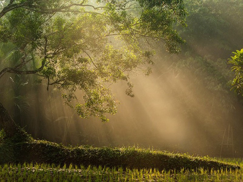 江月图原文注释译文赏析-崔鶠诗词-宋诗全集